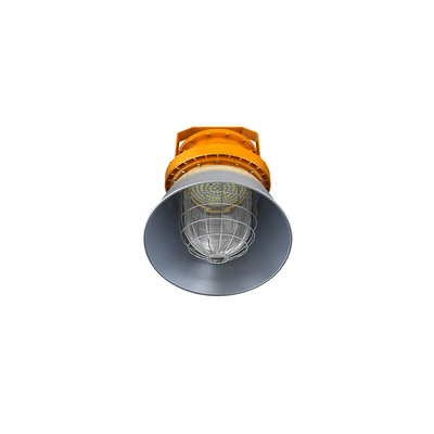 Class I Division 1 Explosion Proof LED Lights High Impact Resistance