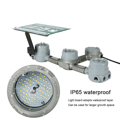 3-6W Explosion Proof LED Exit Emergency Light Chemical Industry IP66 Waterproof Gas Station