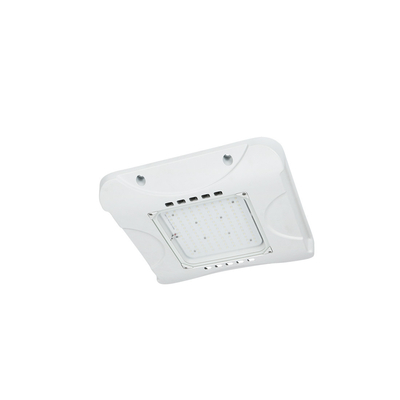 40w-150w Outdoor LED Canopy Light Gas Station IP66
