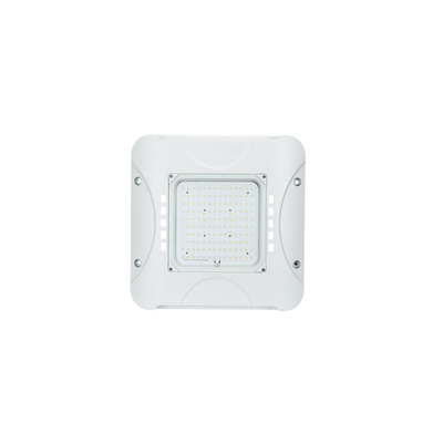 40w-150w Outdoor LED Canopy Light Gas Station IP66